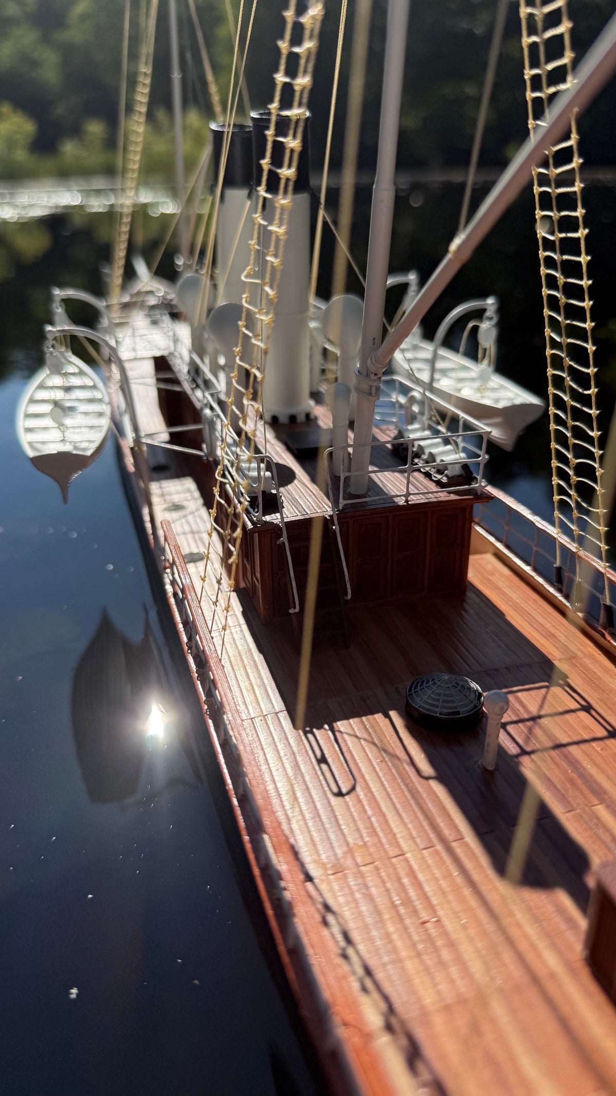 S.S. Elakoon files